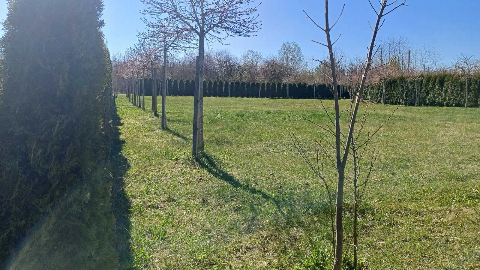 plot Marijampolės sav., Gulbiniškiuose, Gulbino g. – image 6