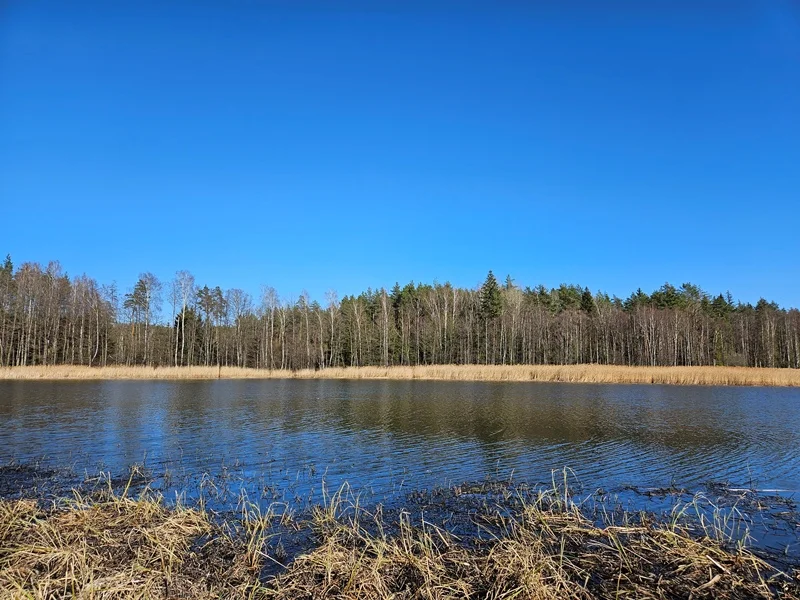 Sklypas Ignalinos rajono sav., Navikuose – nuotrauka 4