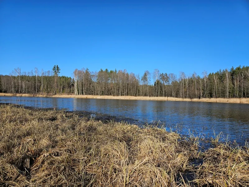 Sklypas Ignalinos rajono sav., Navikuose – nuotrauka 5