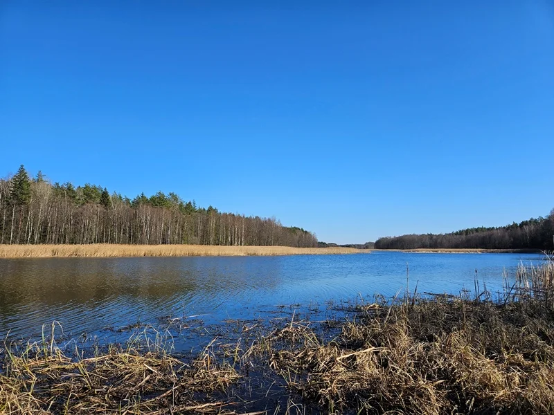 Sklypas Ignalinos rajono sav., Navikuose – nuotrauka 3