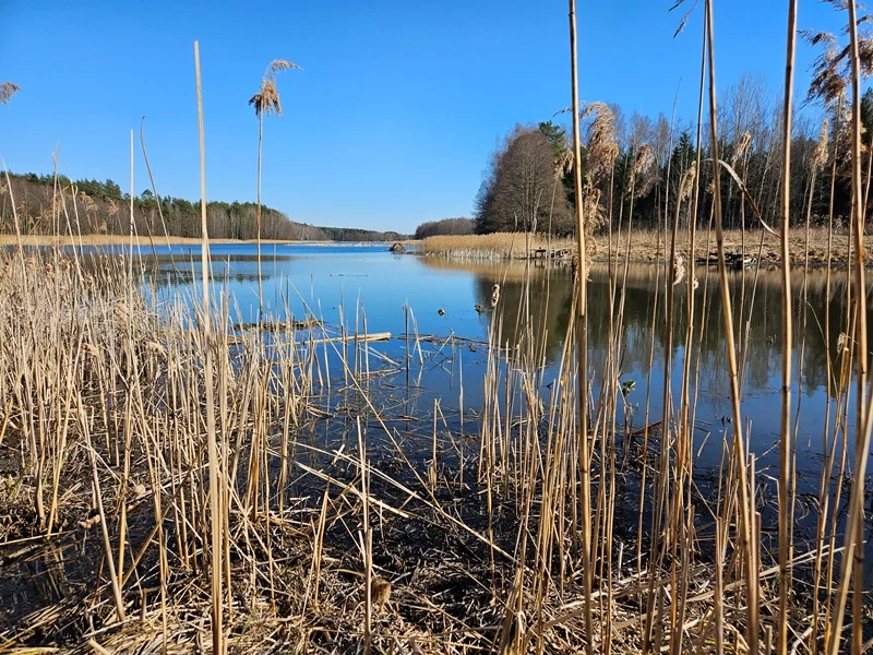 Sklypas Ignalinos rajono sav., Navikuose – nuotrauka 6