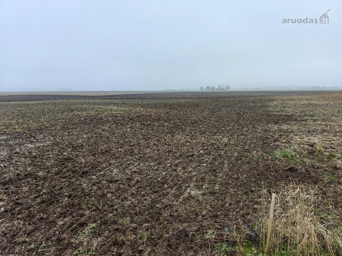 участок Kretingos rajono sav., Grūšlaukėje, Darbėnų g. – изображение 6