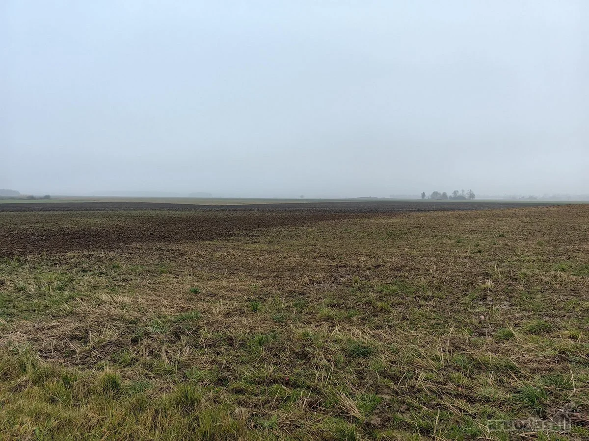 участок Kretingos rajono sav., Grūšlaukėje, Darbėnų g. – изображение 4