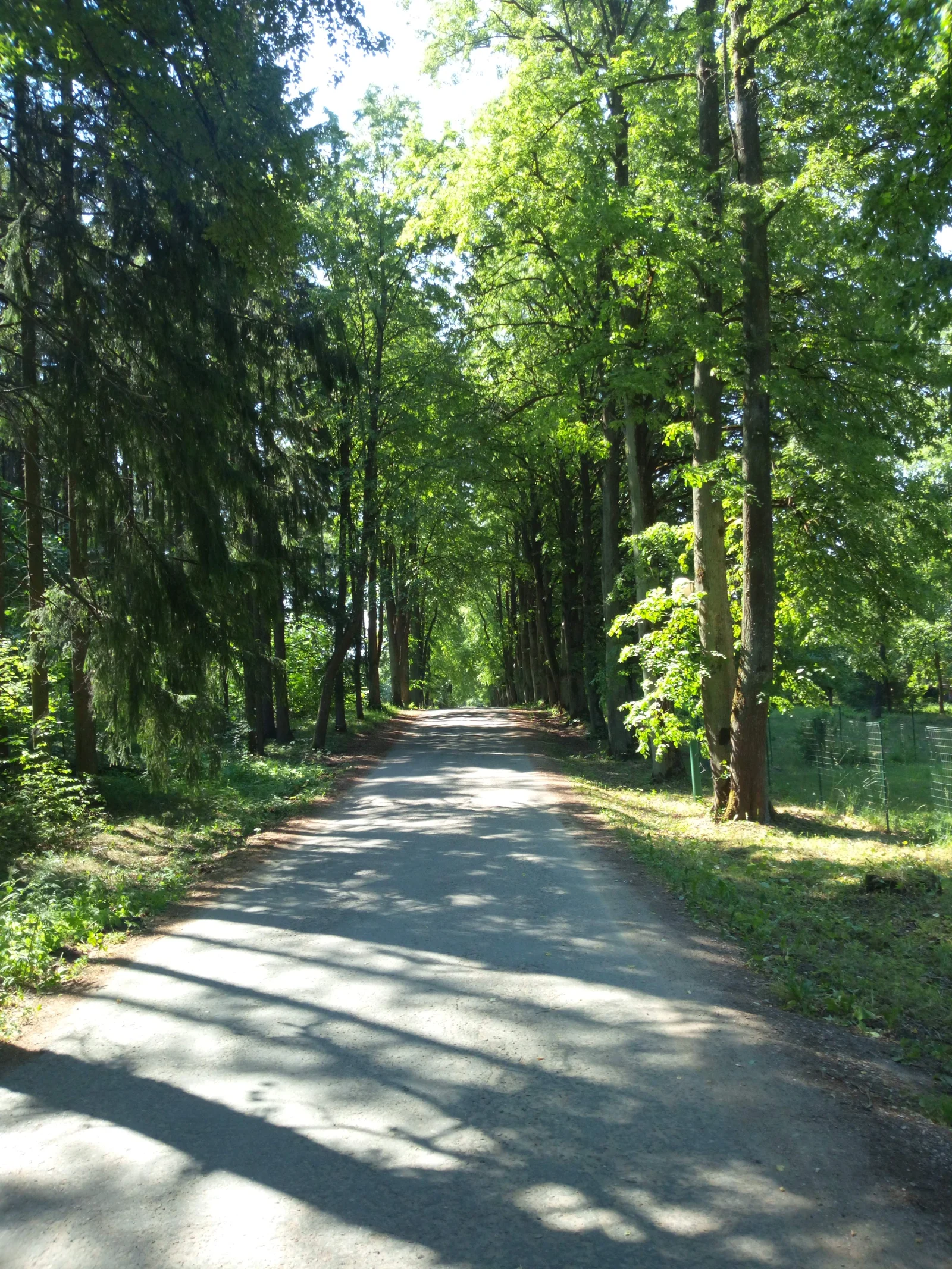 Коттедж Kauno rajono sav., Vaišvydavoje, Liepų al. – изображение 3