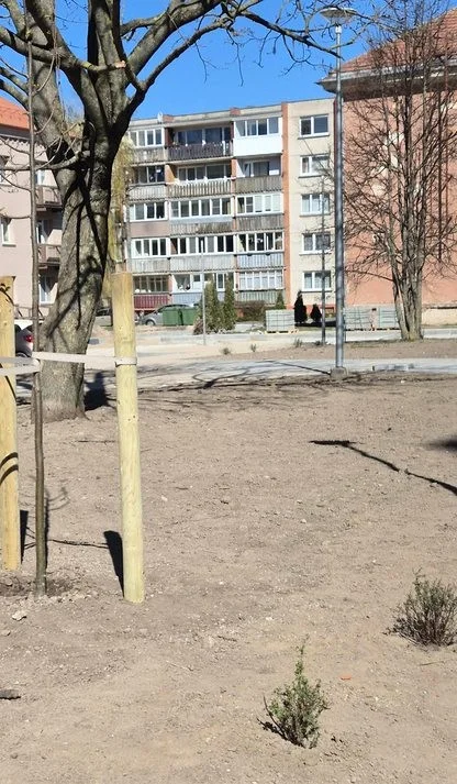 Minijos g., Žvejybos uostas, Klaipėda, 2 kamb. – изображение 5