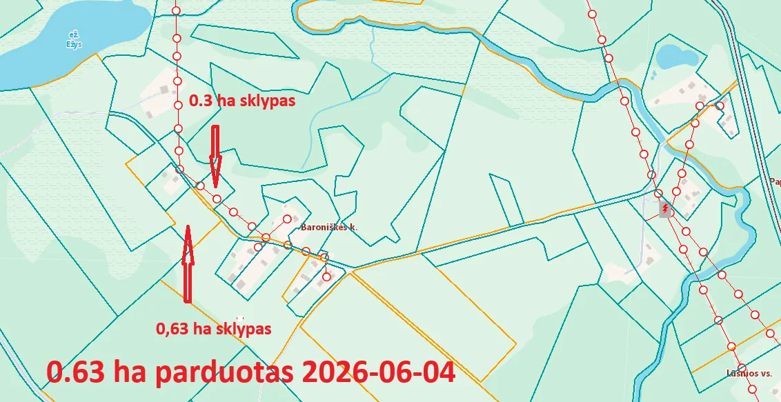 участок Švenčionių rajono sav., Baroniškėje – изображение 3