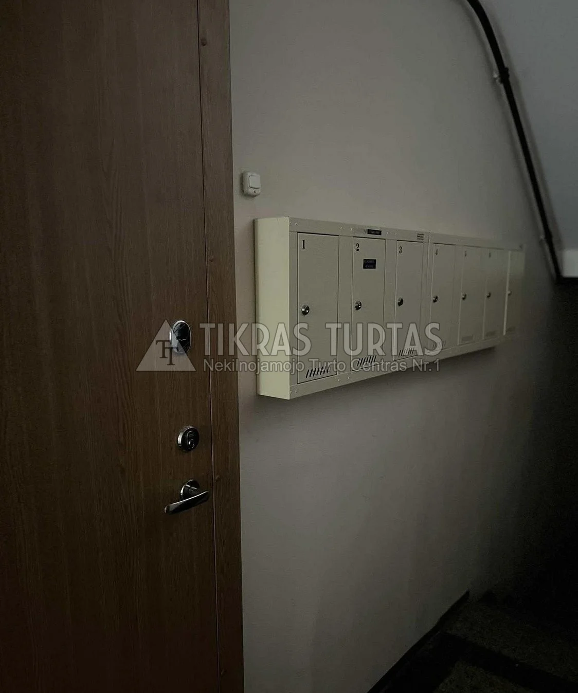 Pušyno skg., Sportininkai, Klaipėda, 1 kamb. – изображение 3