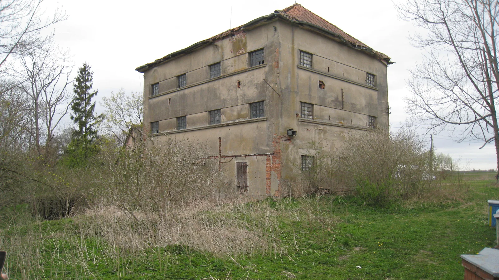 Listing image