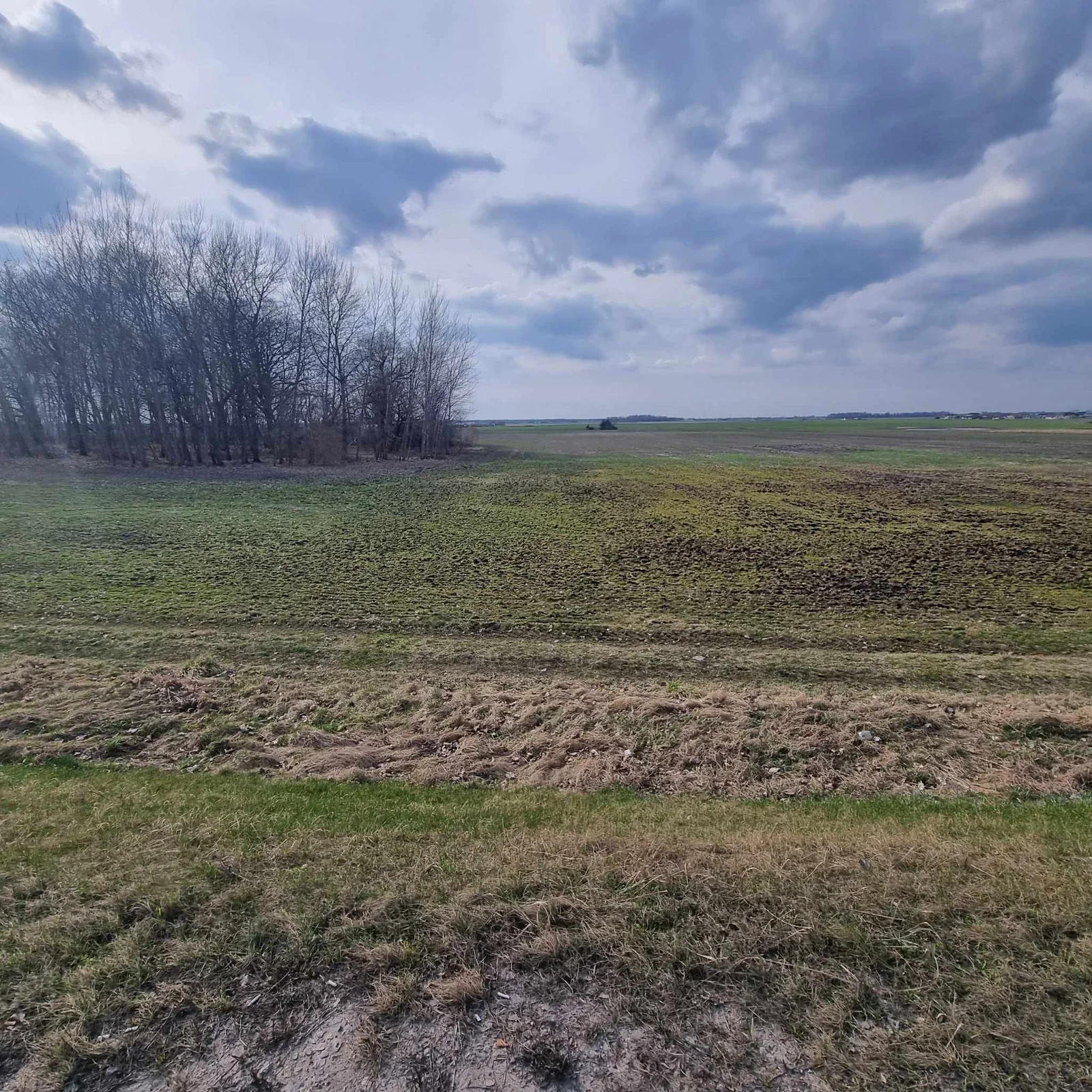 plot Panevėžio rajono sav., Šilagalyje, Ramygalos g. – image 5
