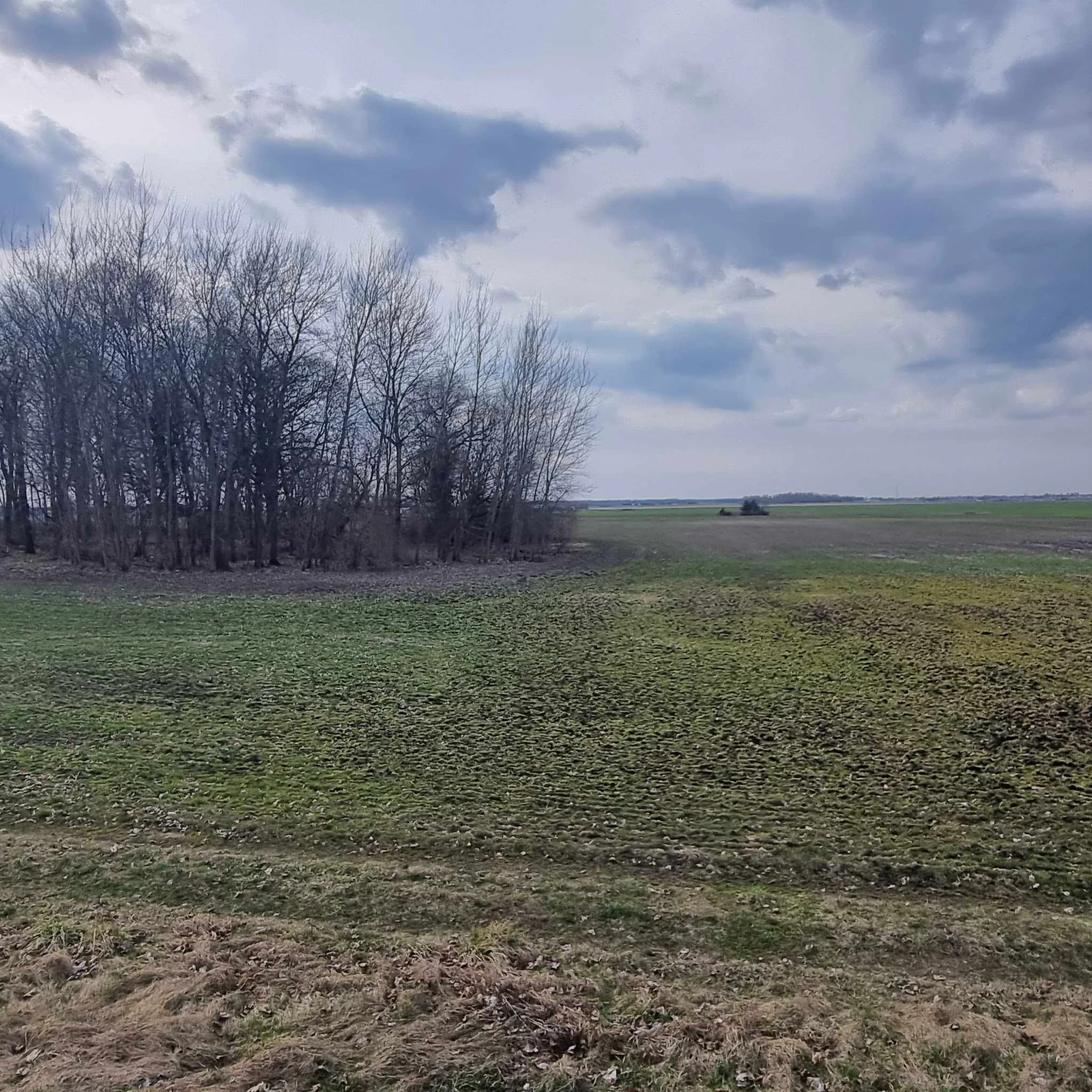 plot Panevėžio rajono sav., Šilagalyje, Ramygalos g. – image 6
