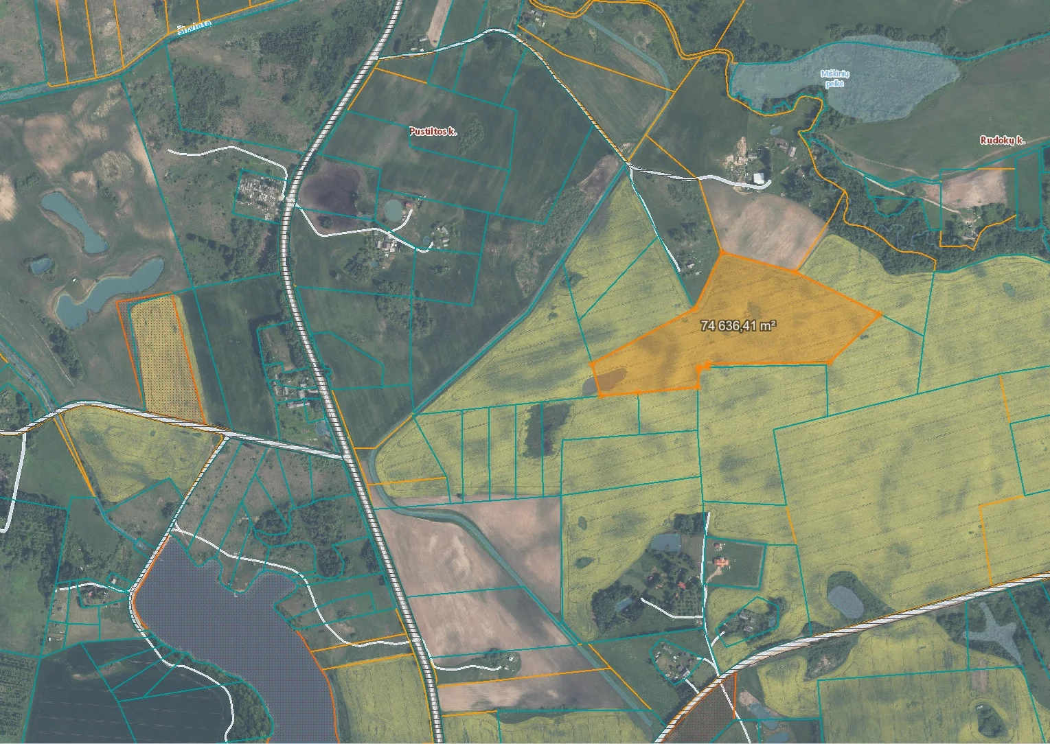 Listing image