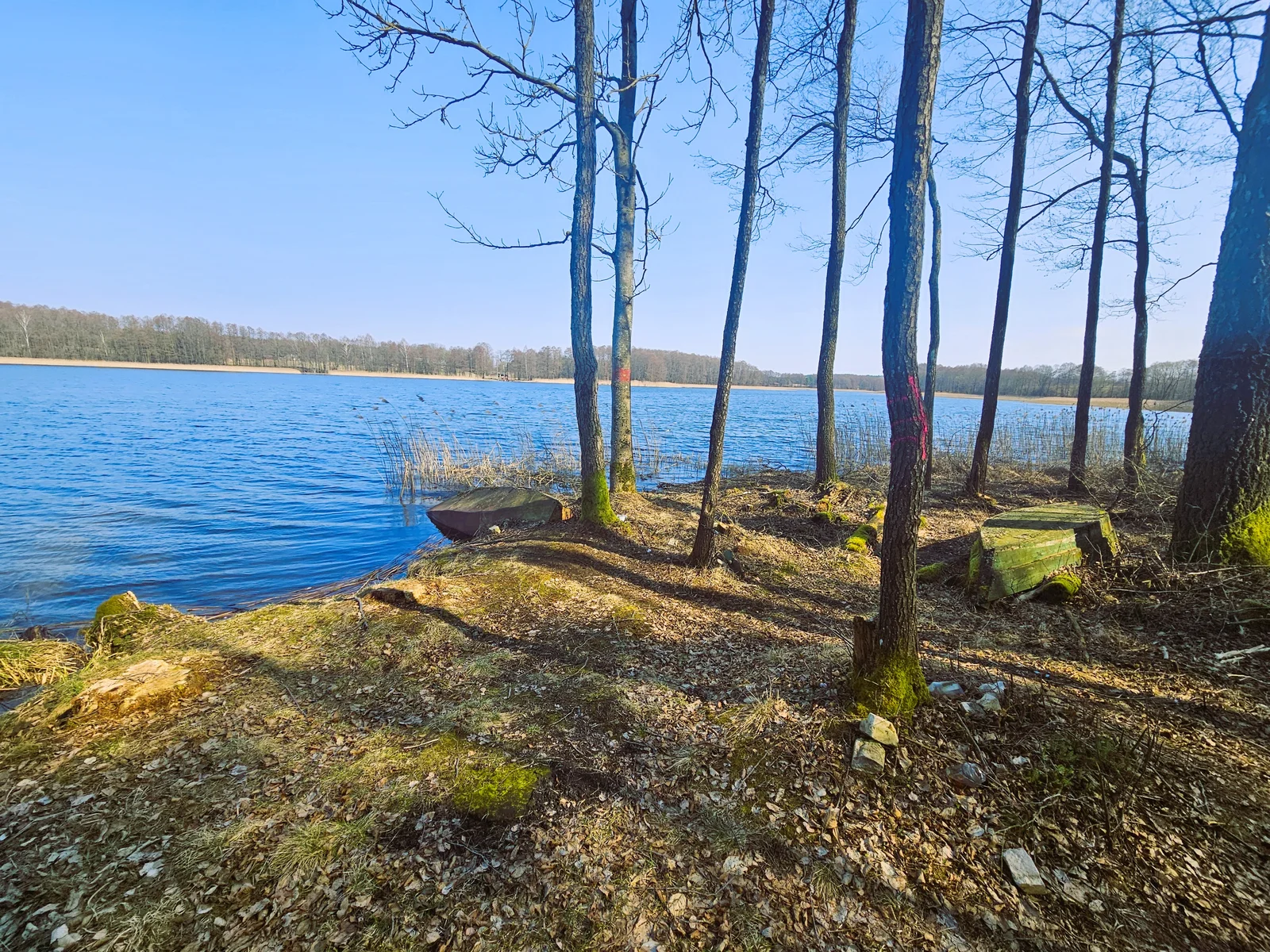 участок Lazdijų rajono sav., Radvilonyse, Radvilonių g. – изображение 3