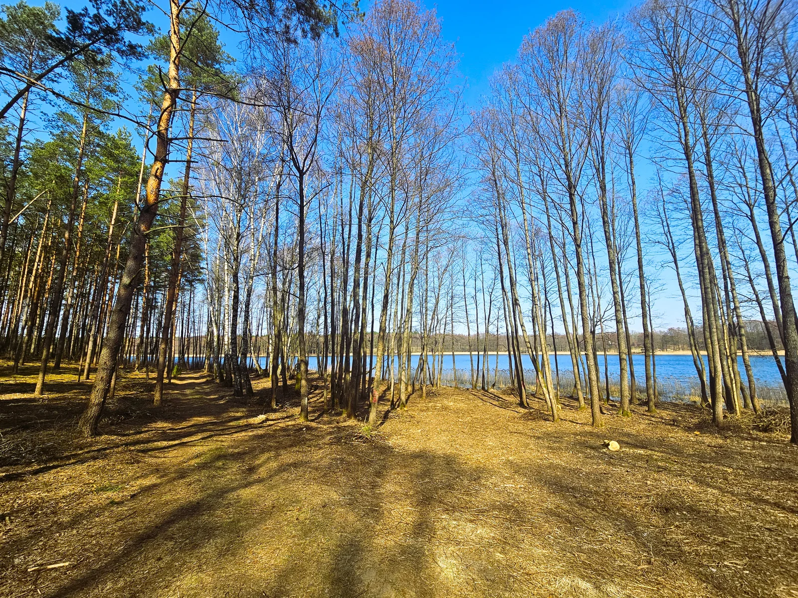 участок Lazdijų rajono sav., Radvilonyse, Radvilonių g. – изображение 5