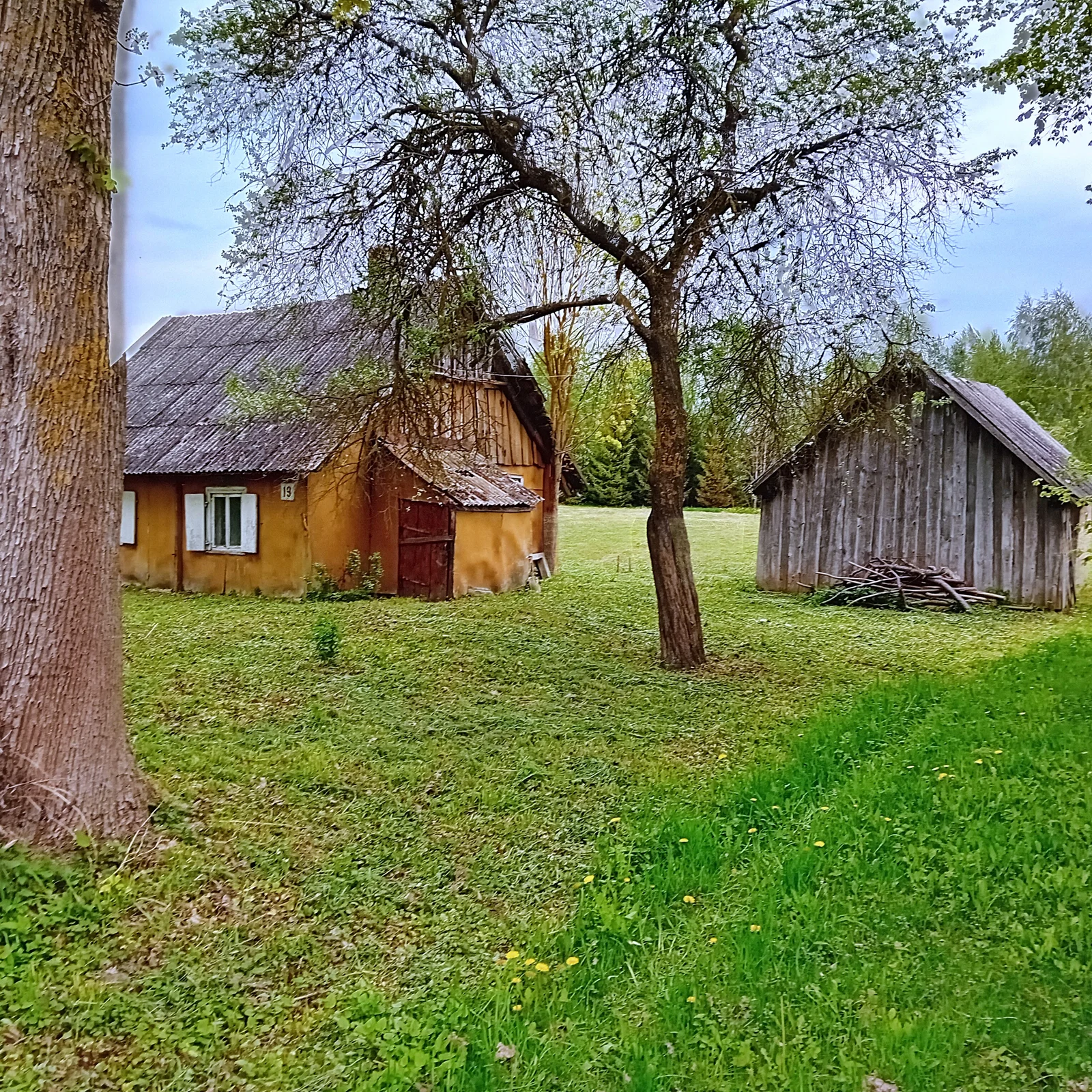 Listing image