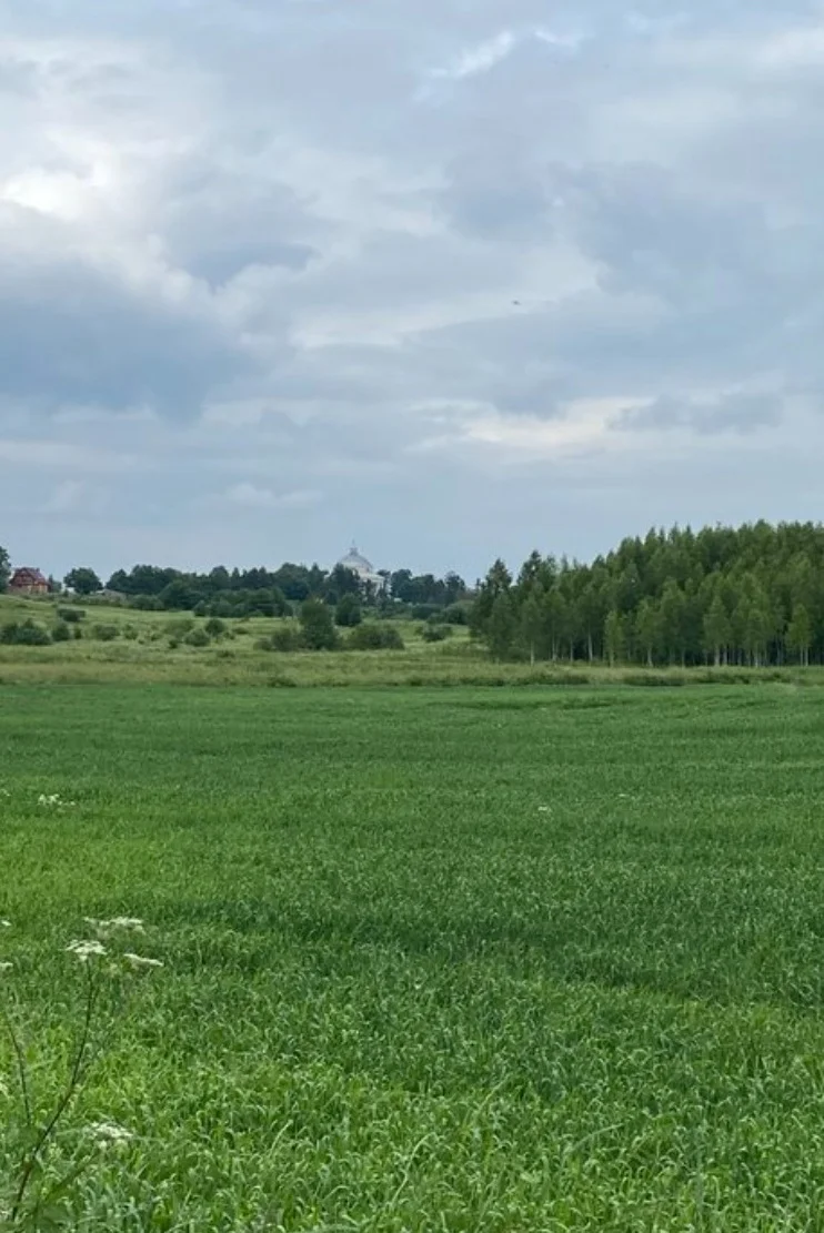 участок Vilniaus rajono sav., Sudervėje, Kunigo Adolfo Trusevičiaus g. – изображение 6