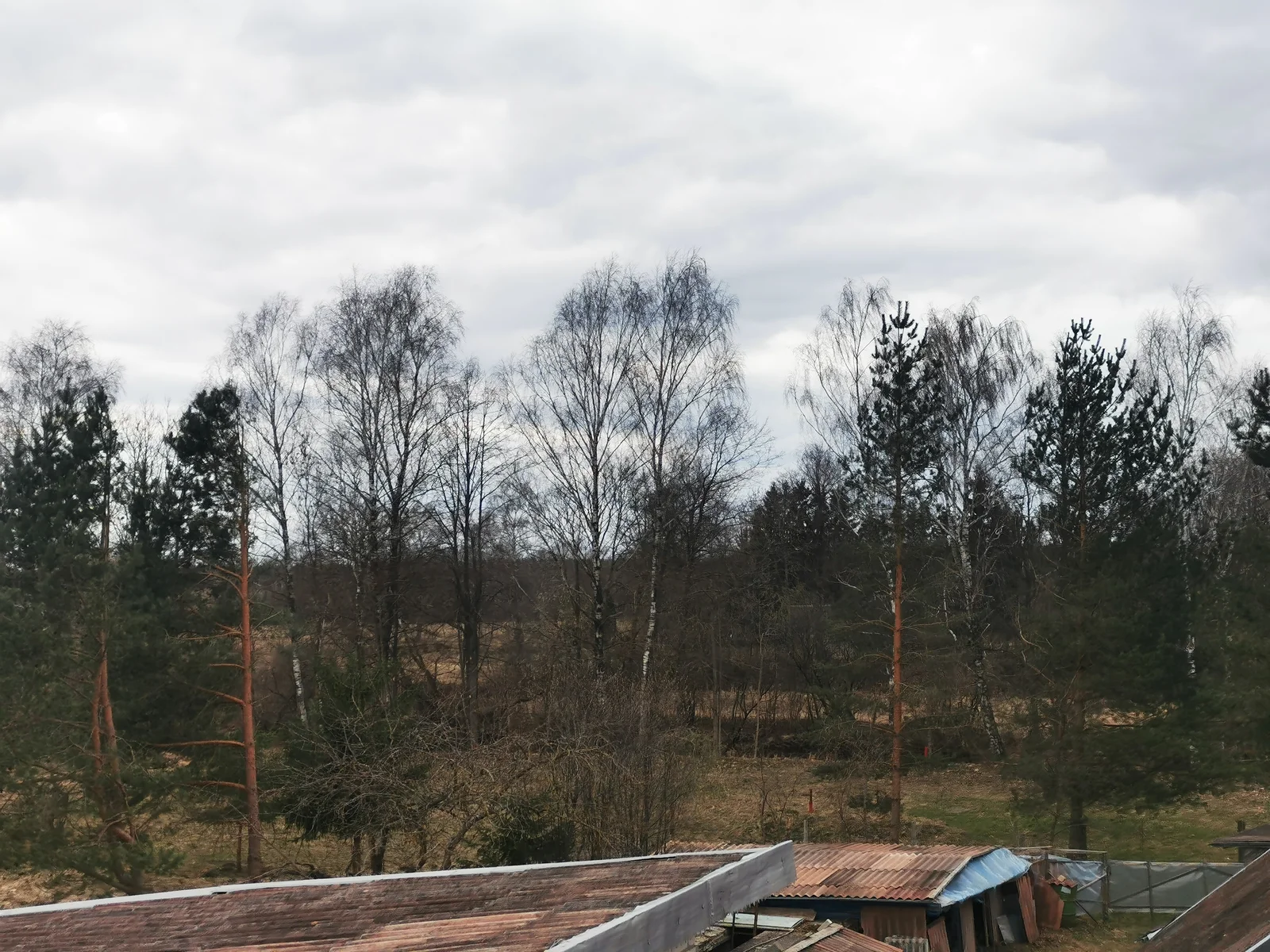 Жилой дом Panevėžio rajono sav., Paliūniškyje, Žemdirbių g. – изображение 4