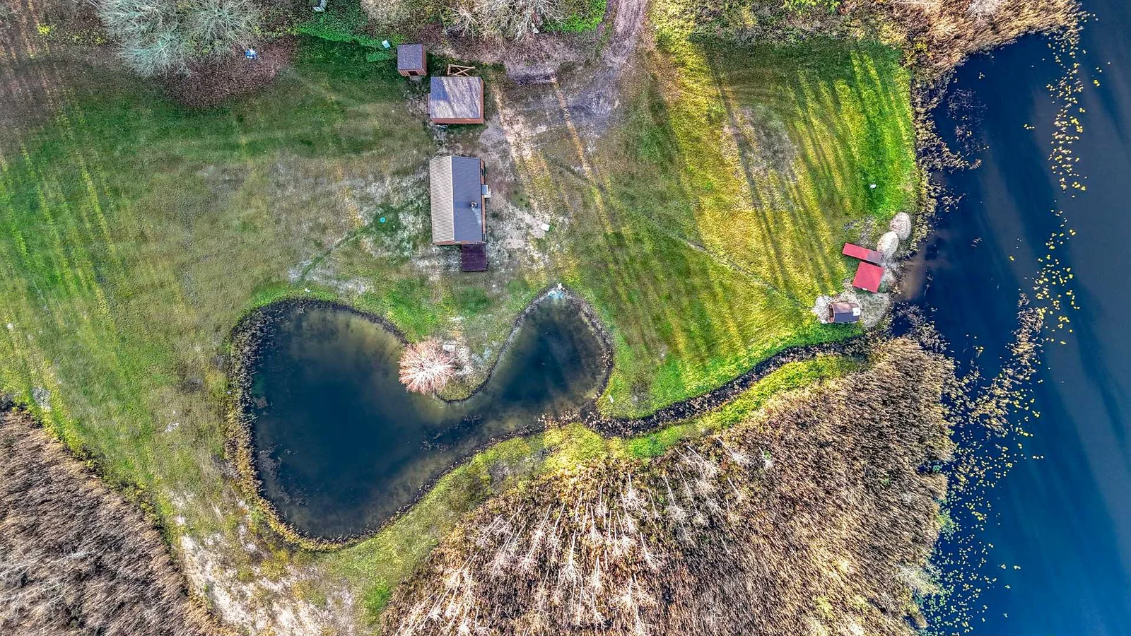 Sodyba Varėnos rajono sav., Navikuose – nuotrauka 4