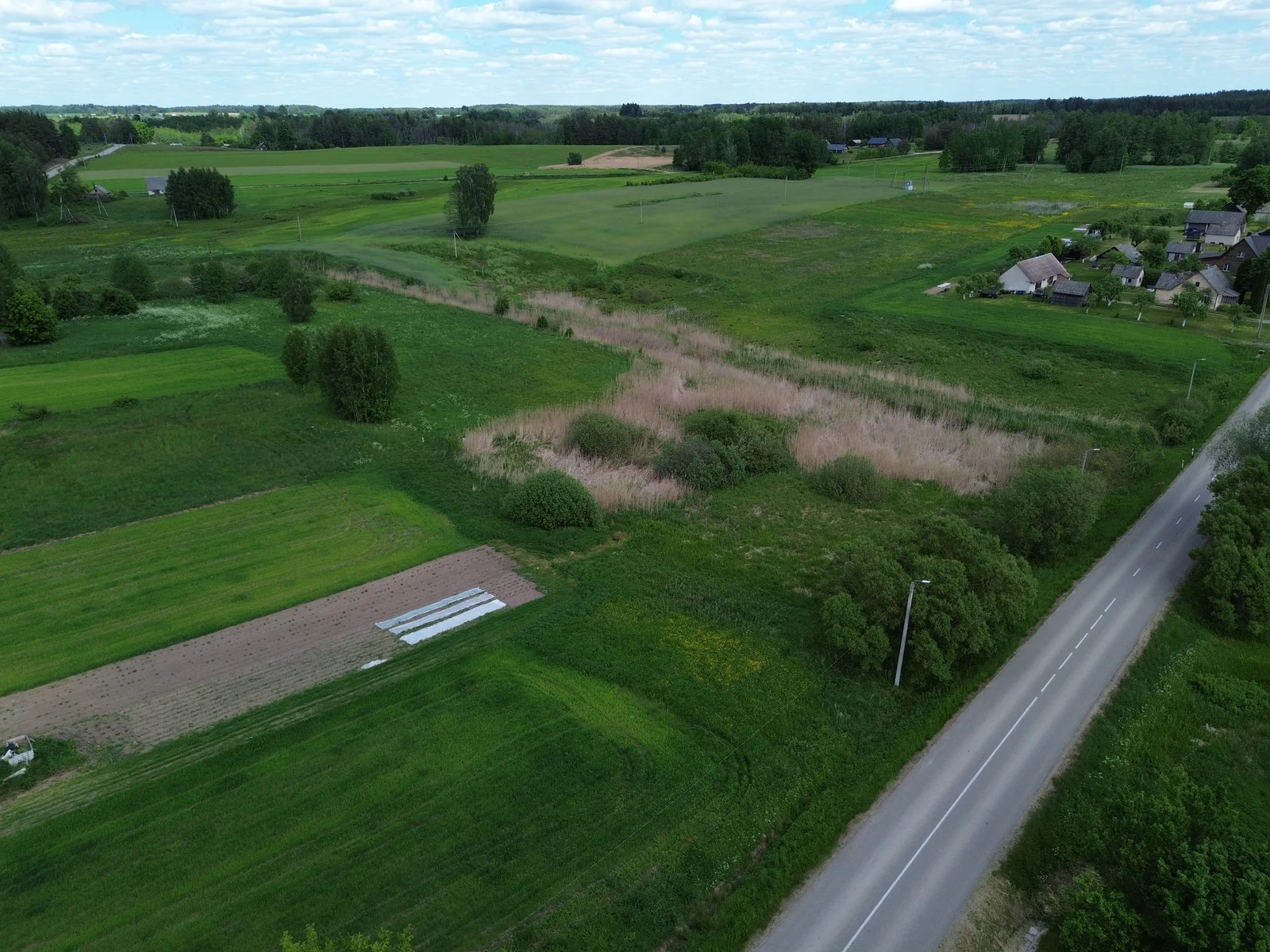 участок Druskininkų sav., Snaigupėje, Kloniškių g. – изображение 4