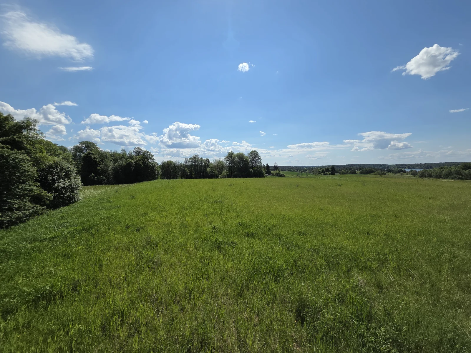 Sklypas Molėtų rajono sav., Verbiškėse, Pušies g. – nuotrauka 4