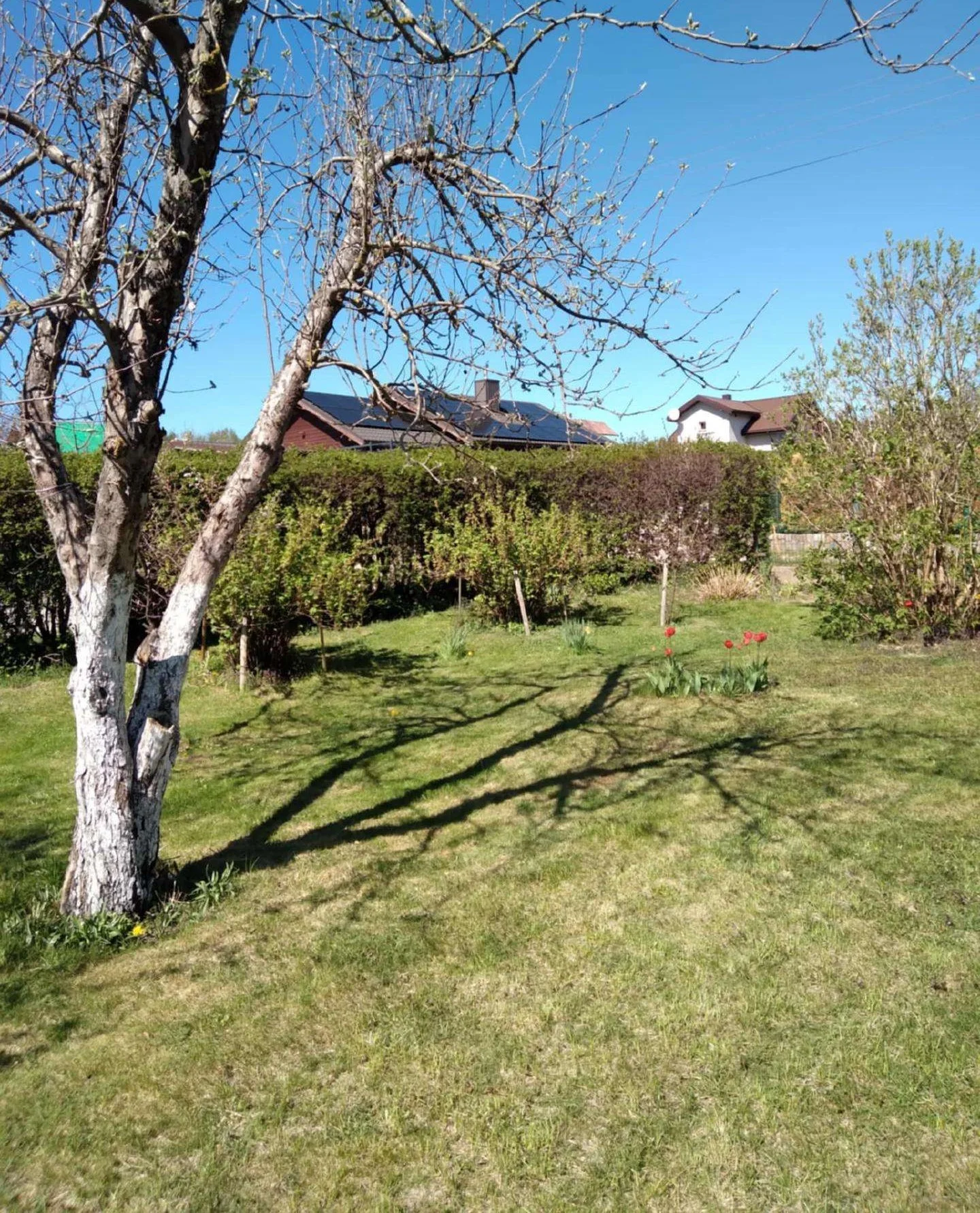 Sodo namas Klaipėdos rajono sav., Dercekliuose, Ventės g. – nuotrauka 5