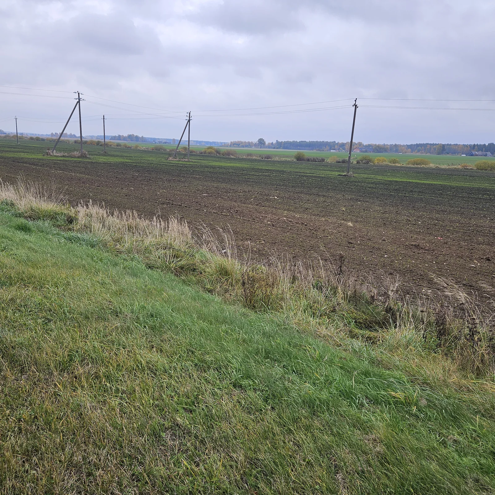Sklypas Panevėžio rajono sav., Ūtoje, Baltijos Kelio g. – nuotrauka 5