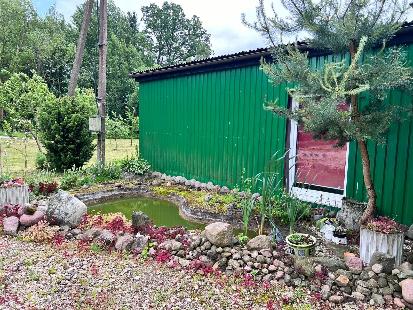 Sodyba Raseinių rajono sav., Baukiuose – nuotrauka 6