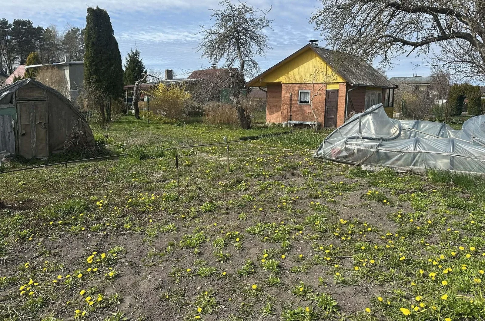 Sodo namas Klaipėdos rajono sav., Žiaukos, Rūtų tak. – nuotrauka 6