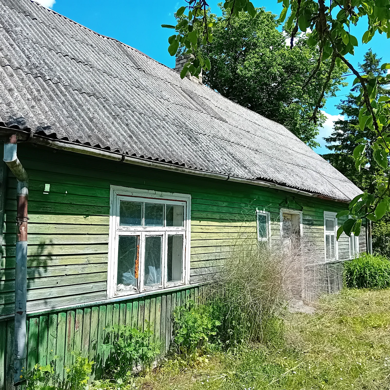 Farmstead Pasvalio rajono sav., Pamažupiuose, Vytauto Misevičiaus g. – image 3