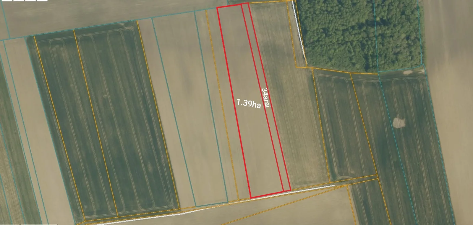 Sklypas Akmenės rajono sav., Agluonuose, Pievų g. – nuotrauka 2