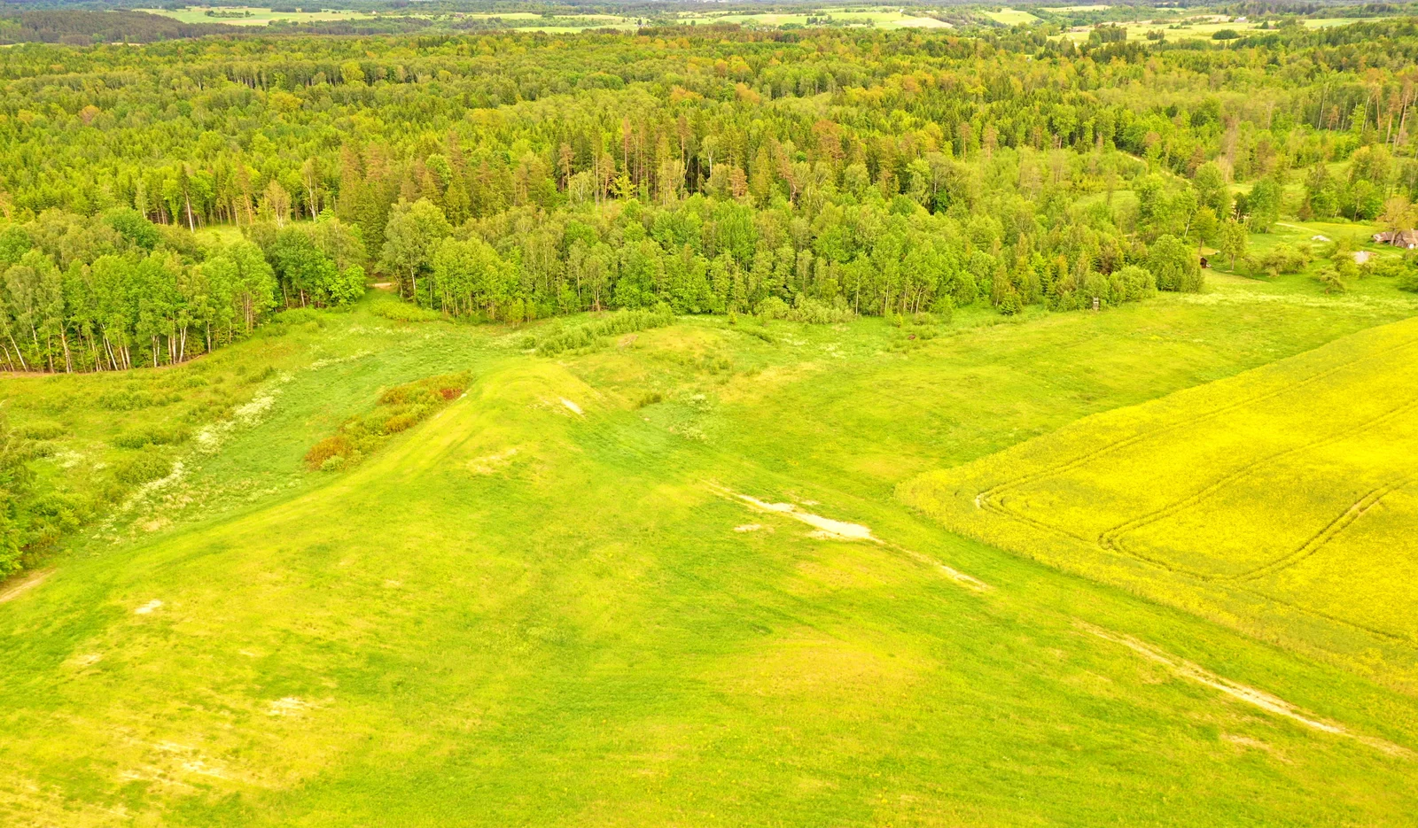 Sklypas Trakų rajono sav., Nečiūnuose, Semeliškių g. – nuotrauka 6