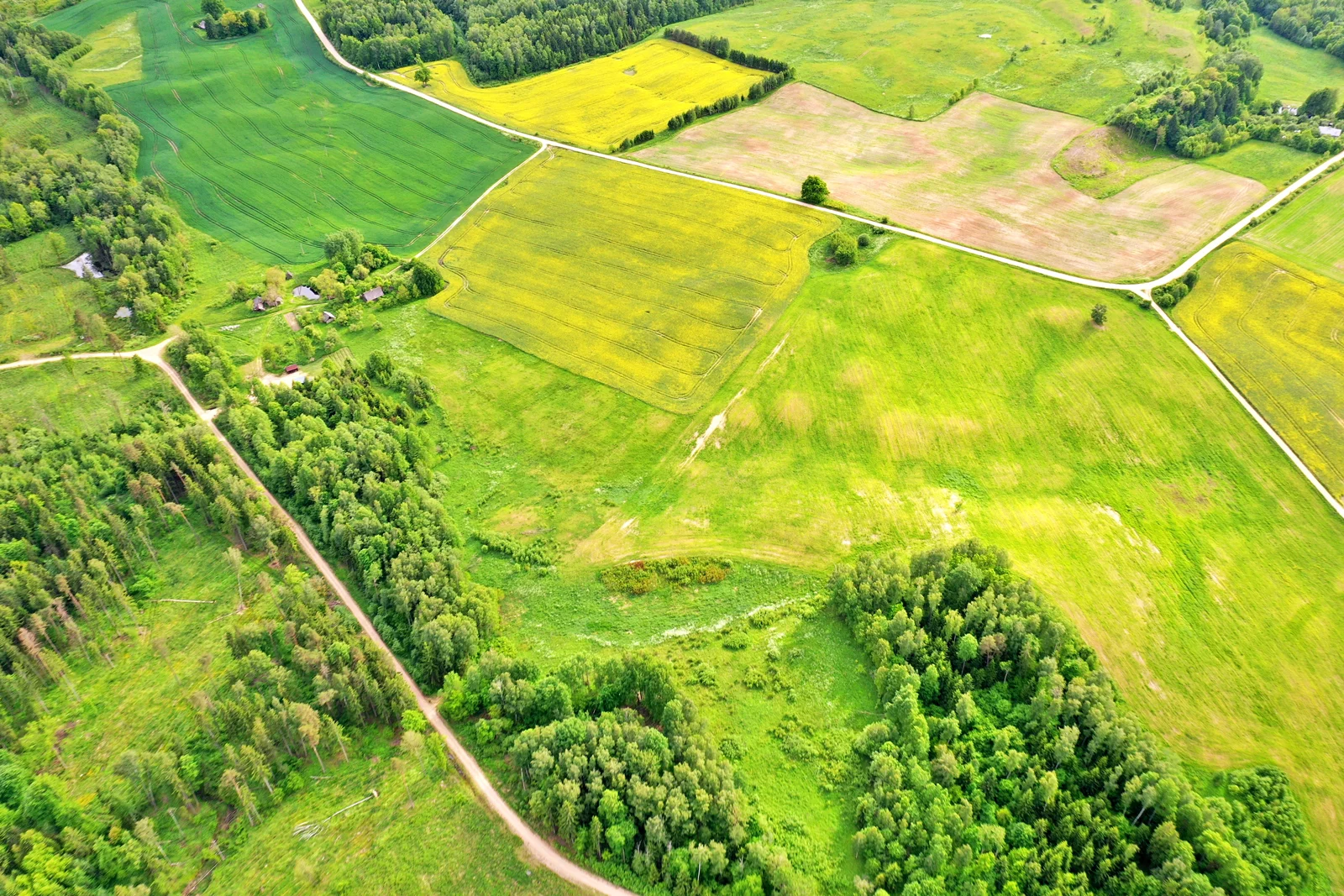 Sklypas Trakų rajono sav., Nečiūnuose, Semeliškių g. – nuotrauka 3