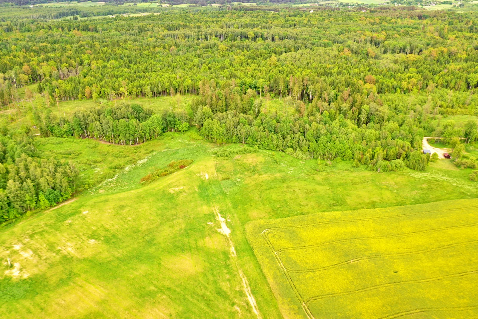 Sklypas Trakų rajono sav., Nečiūnuose, Semeliškių g. – nuotrauka 5