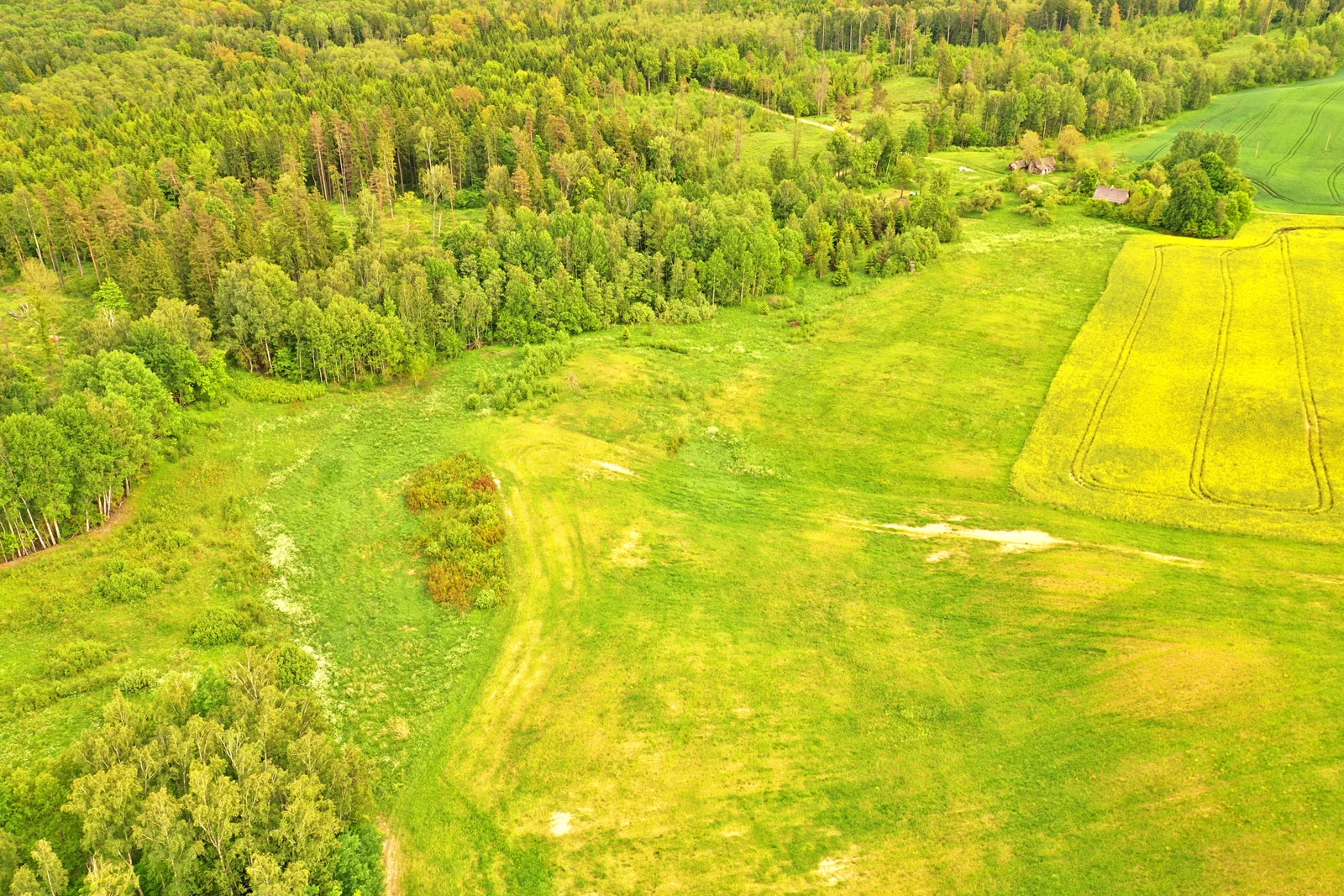 Sklypas Trakų rajono sav., Nečiūnuose, Semeliškių g. – nuotrauka 4