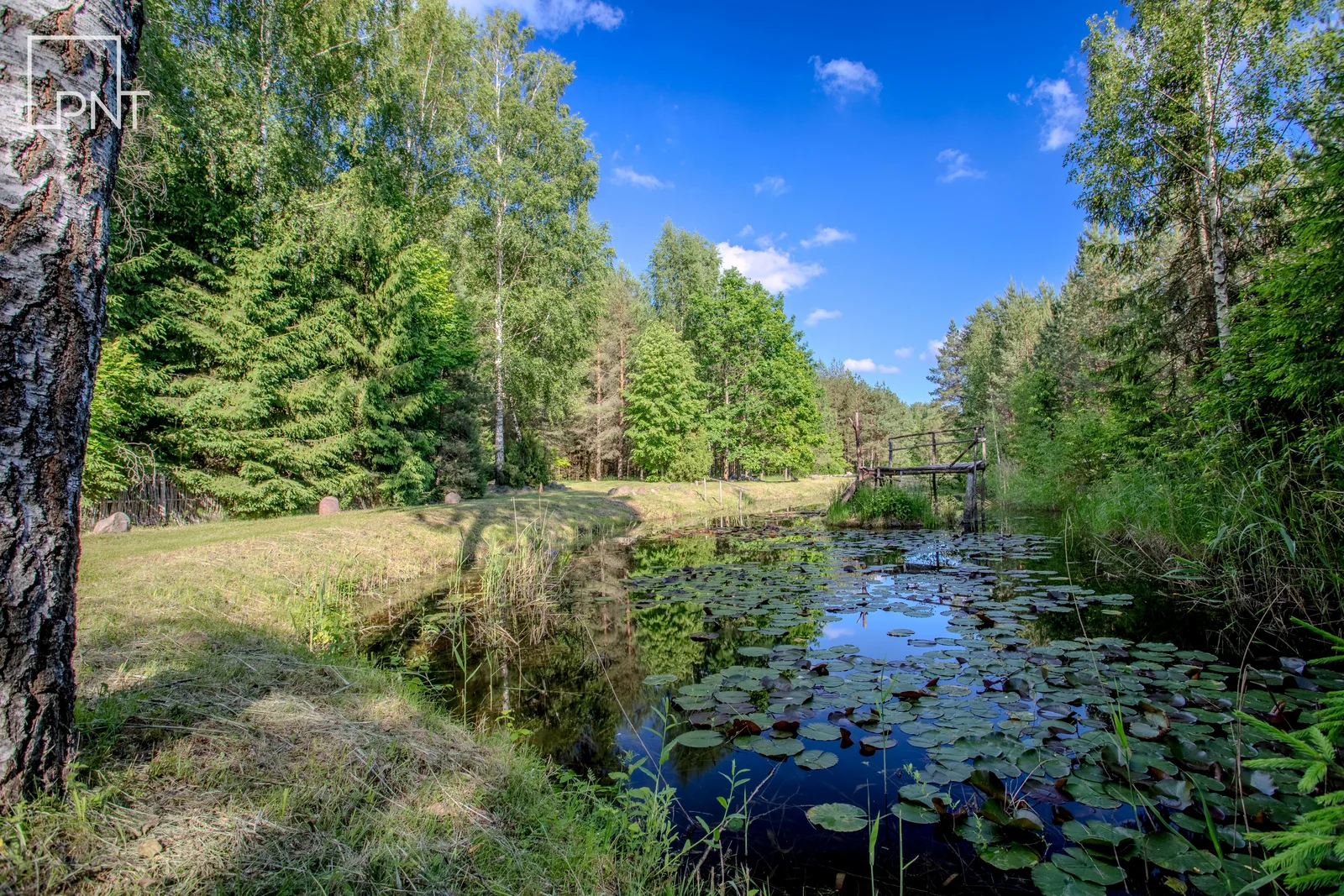 Sklypas Panevėžio rajono sav., Kakūnuose – nuotrauka 6