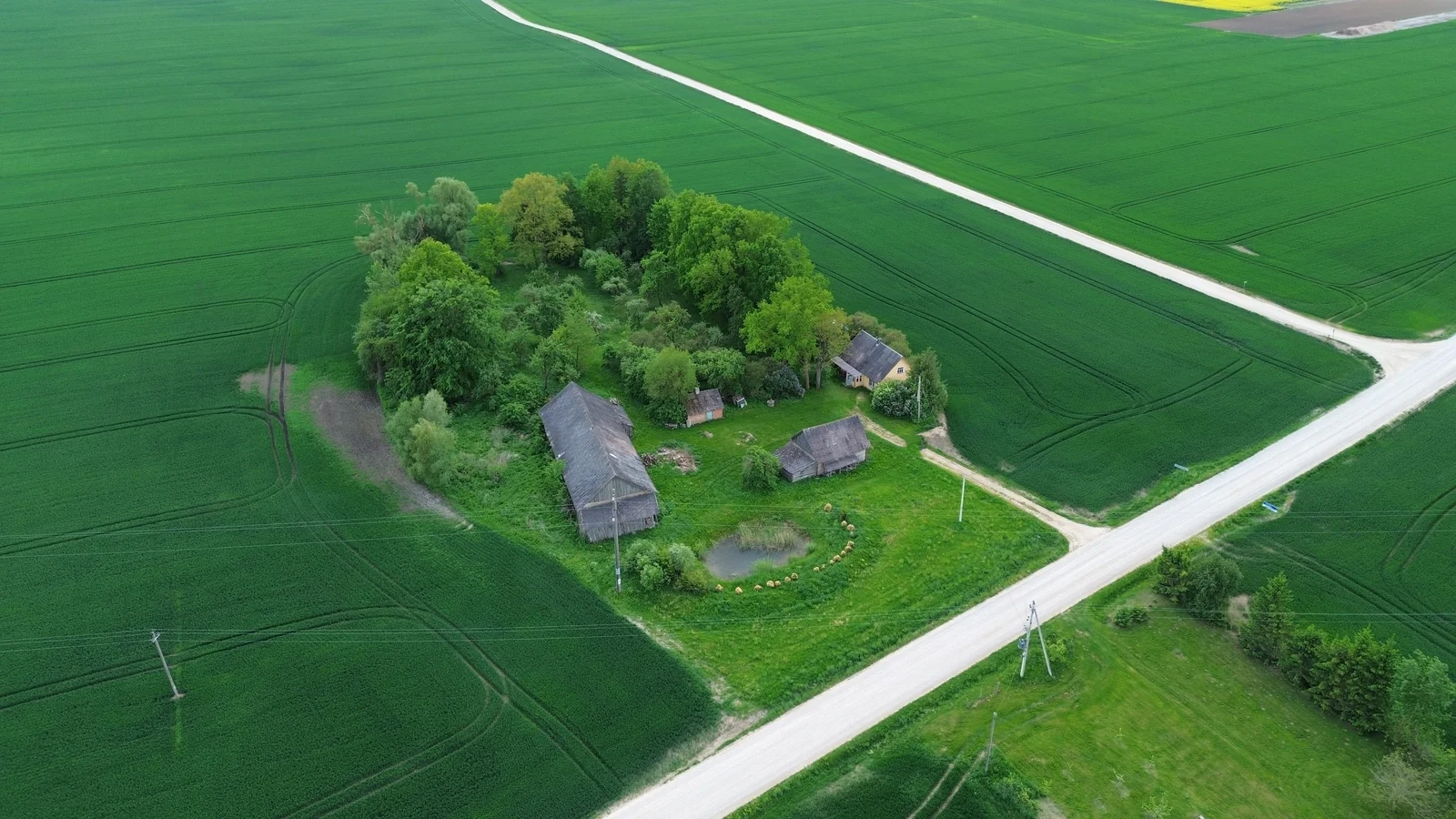 Sodyba Pasvalio rajono sav., Daniliškiuose, Daniliškių g. – nuotrauka 3