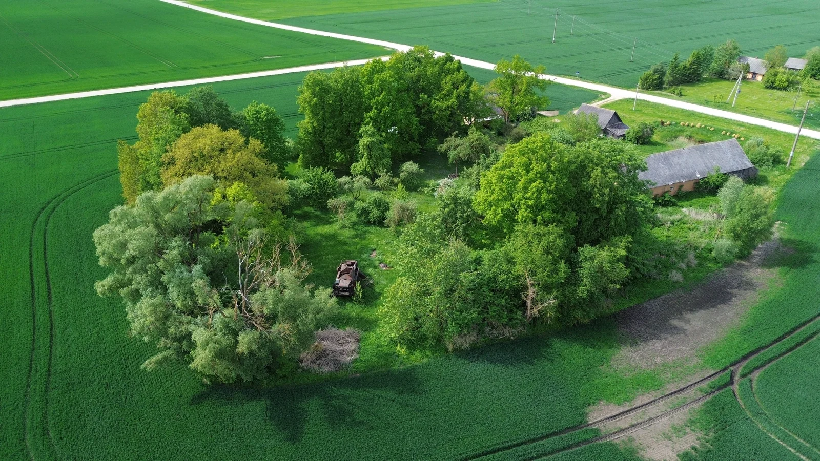 Sodyba Pasvalio rajono sav., Daniliškiuose, Daniliškių g. – nuotrauka 6