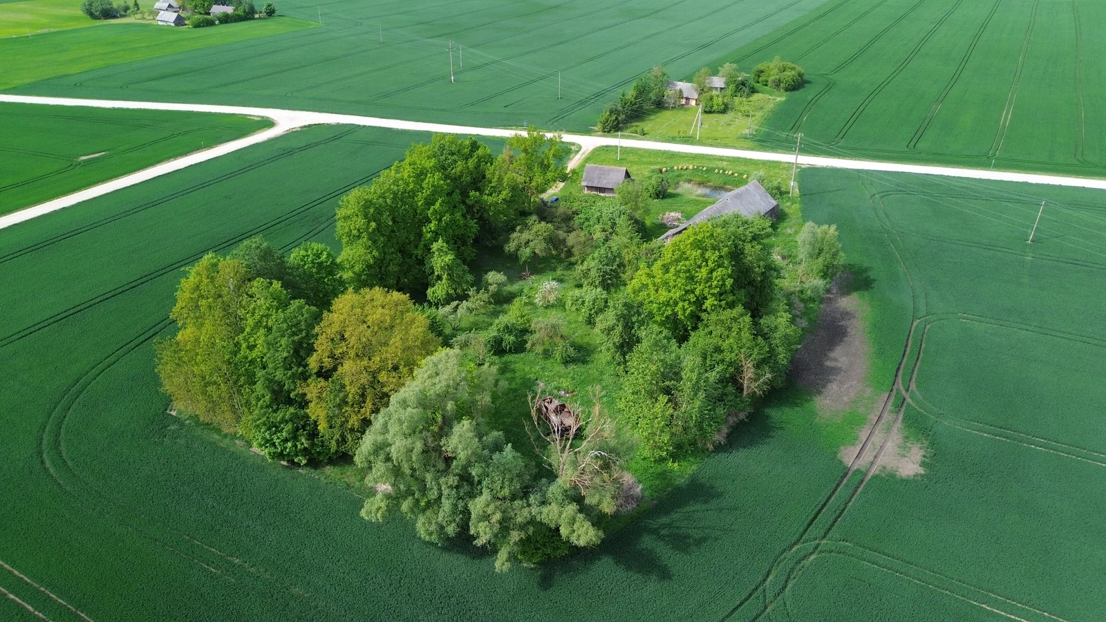 Sodyba Pasvalio rajono sav., Daniliškiuose, Daniliškių g. – nuotrauka 4