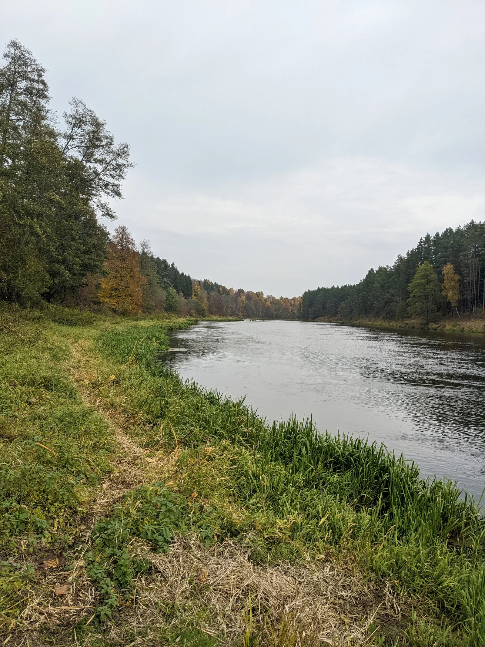 Sodyba Švenčionių rajono sav., Bareišiūnuose, Vasaros g. – nuotrauka 5