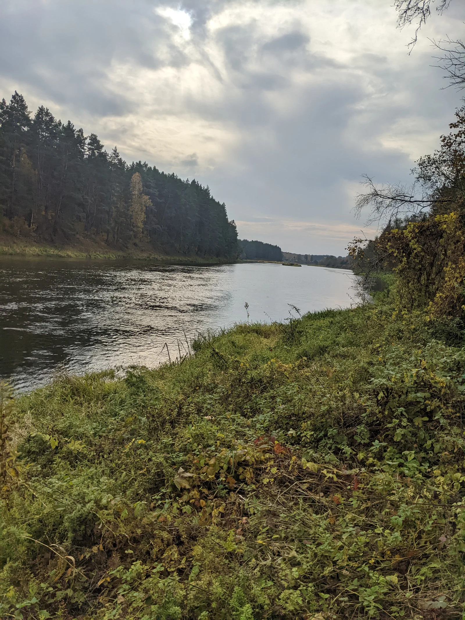 Sodyba Švenčionių rajono sav., Bareišiūnuose, Vasaros g. – nuotrauka 4