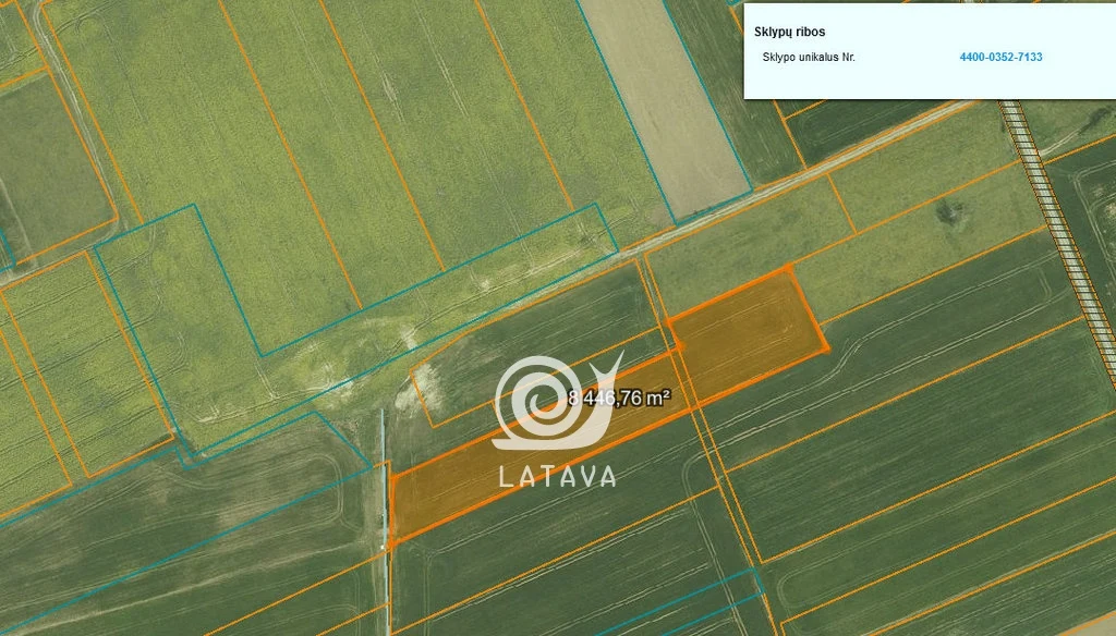 plot Raseinių r. sav., Didžiuliuose – image 1