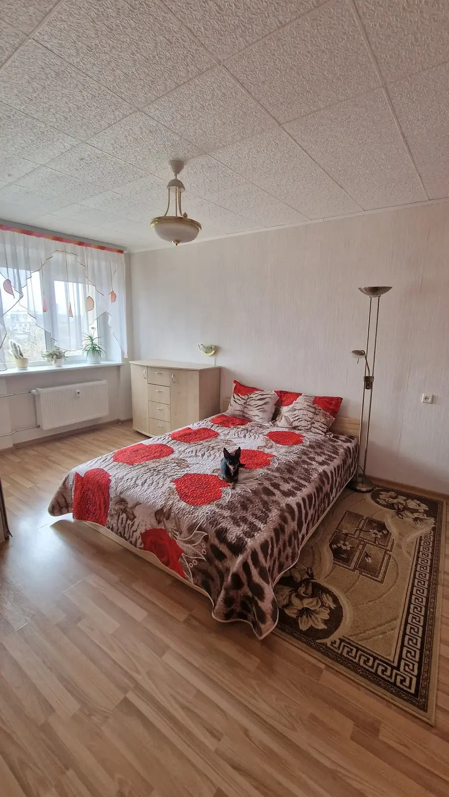 Kauno g., Centras, Šiauliai, 3 kamb. – nuotrauka 5