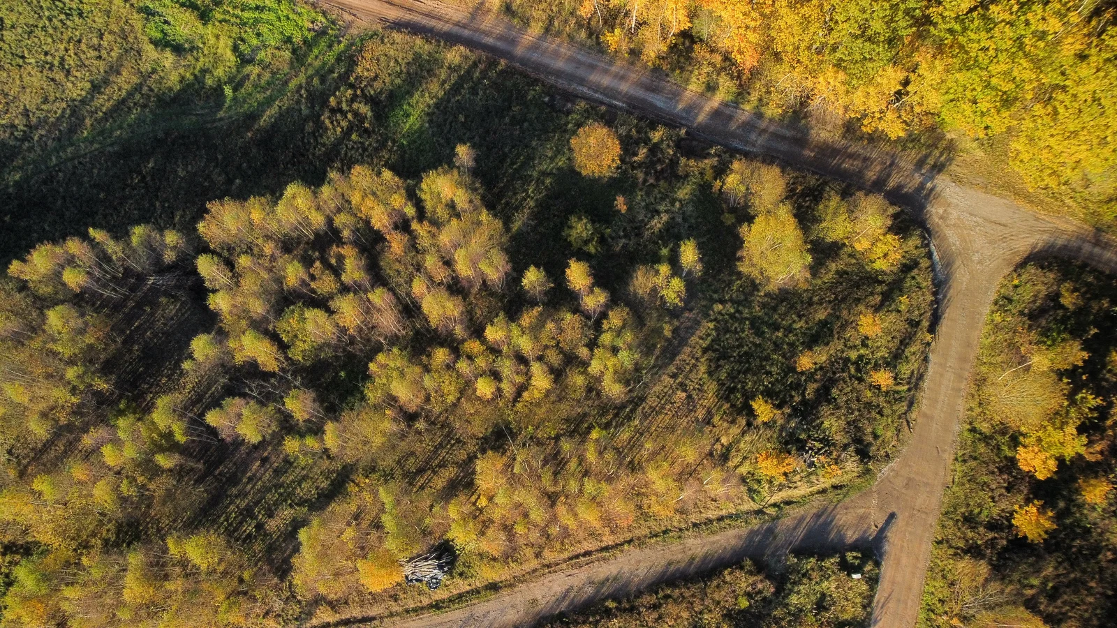 Sklypas Vilniuje Skaidiškėse, Eglių g. – nuotrauka 6