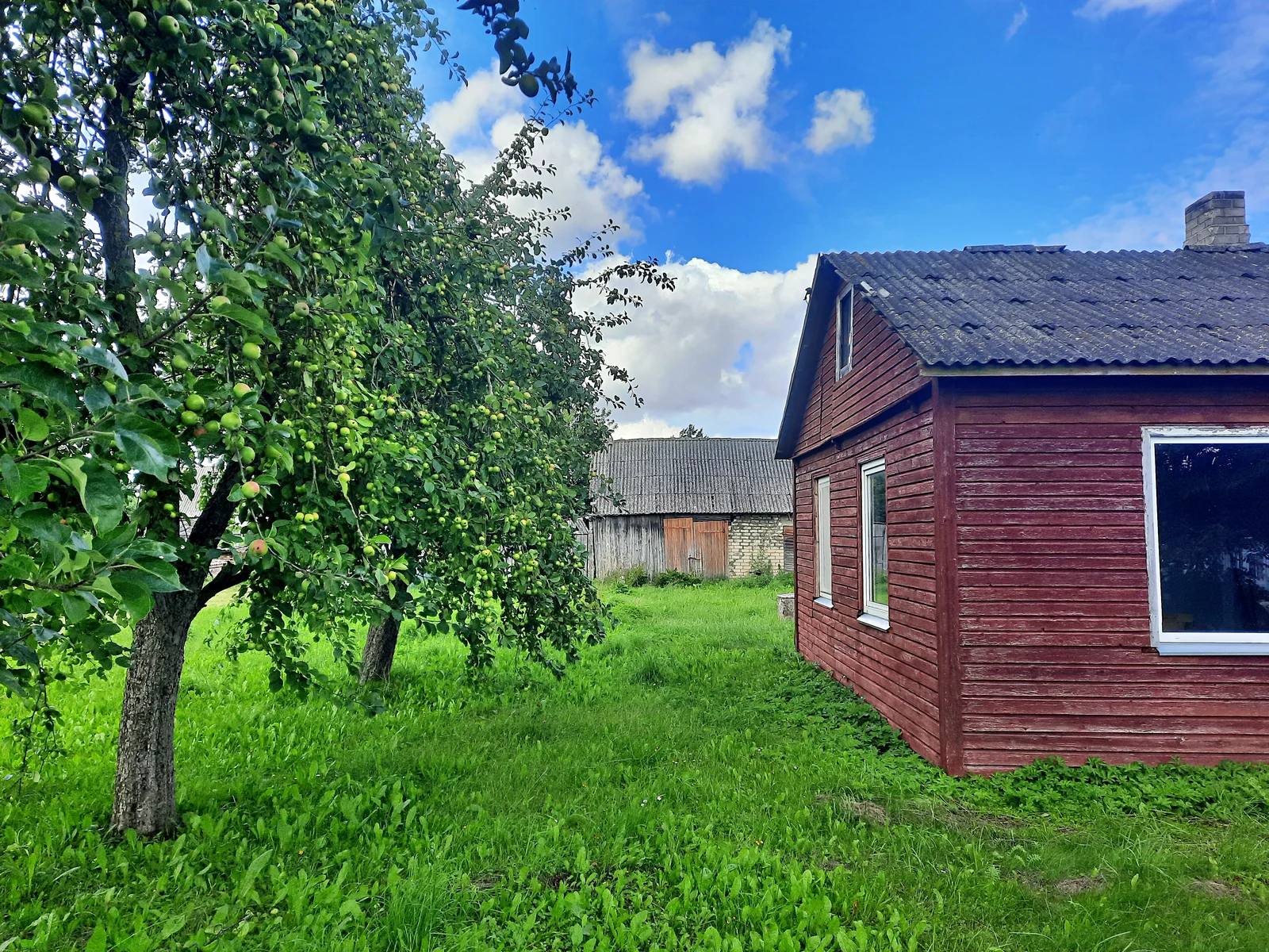 Sodyba Kėdainių rajono sav., Vikaičiuose, Margininkų g. – nuotrauka 3