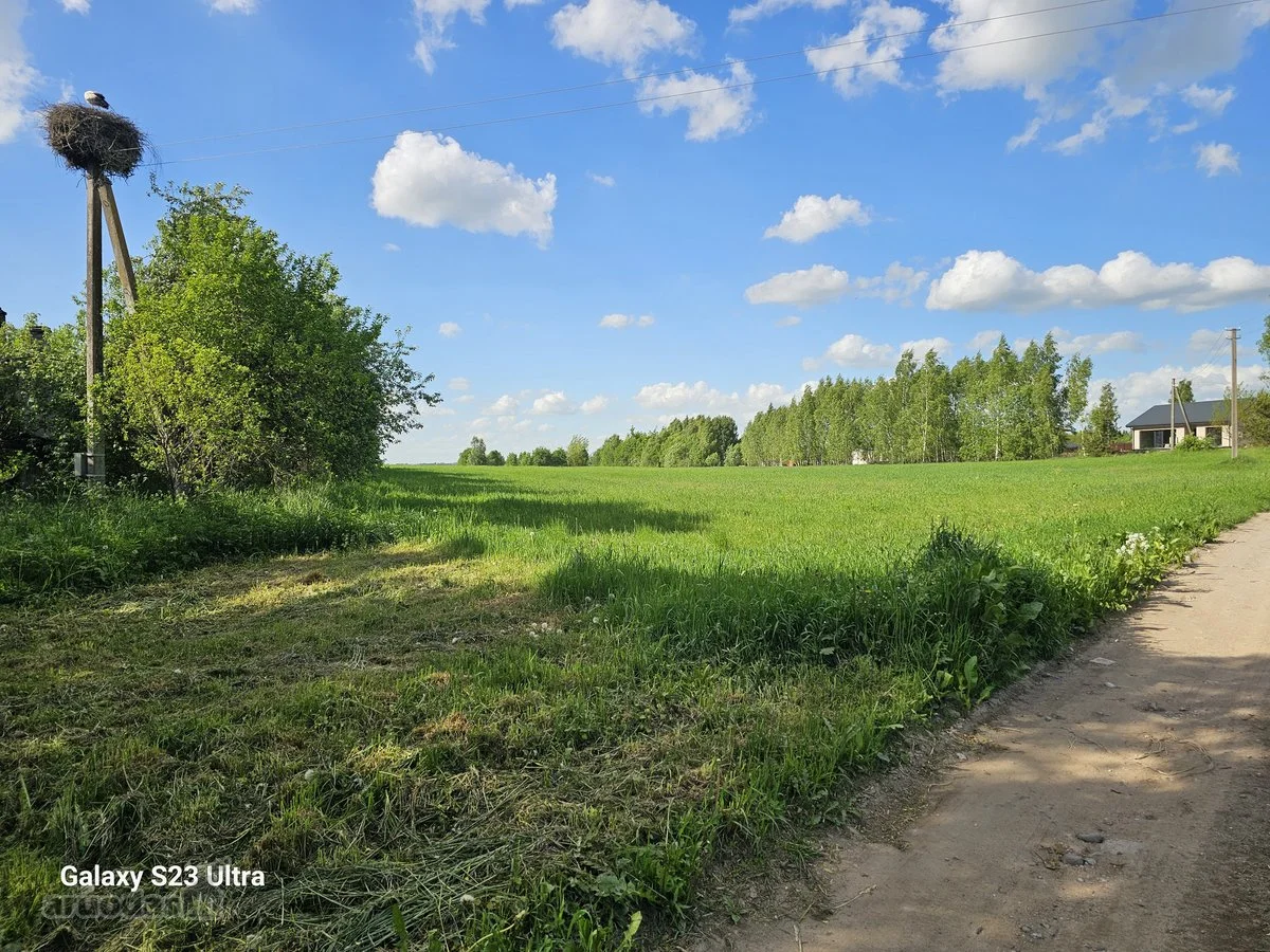 Sklypas Vilniaus rajono sav., Akalotėje, Mokyklos g. – nuotrauka 4