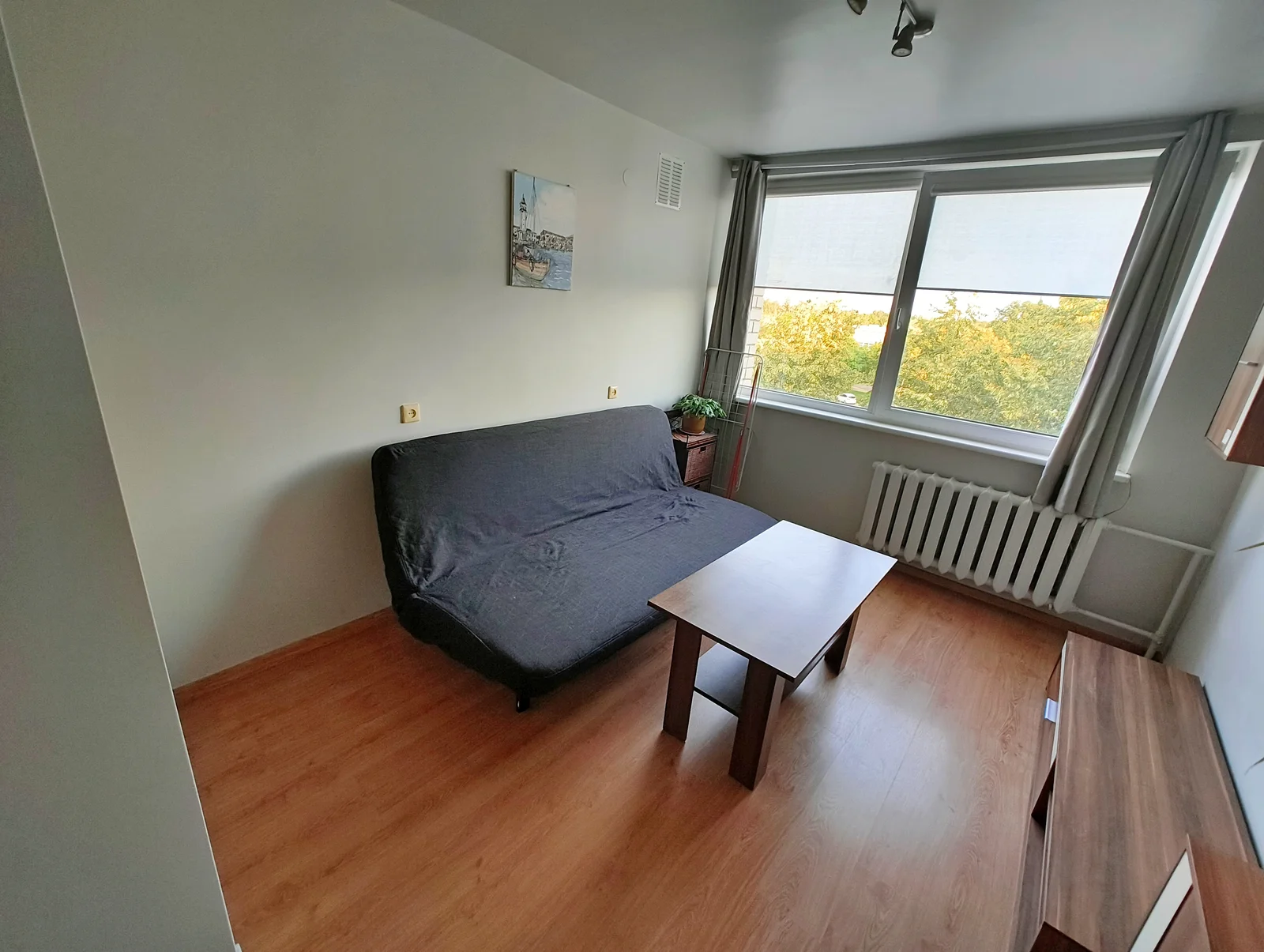 V. Krėvės pr. 53, Dainava, Kaunas, 1 kamb. – nuotrauka 3