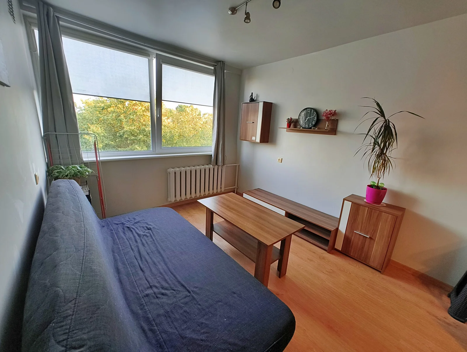 V. Krėvės pr. 53, Dainava, Kaunas, 1 kamb. – nuotrauka 6