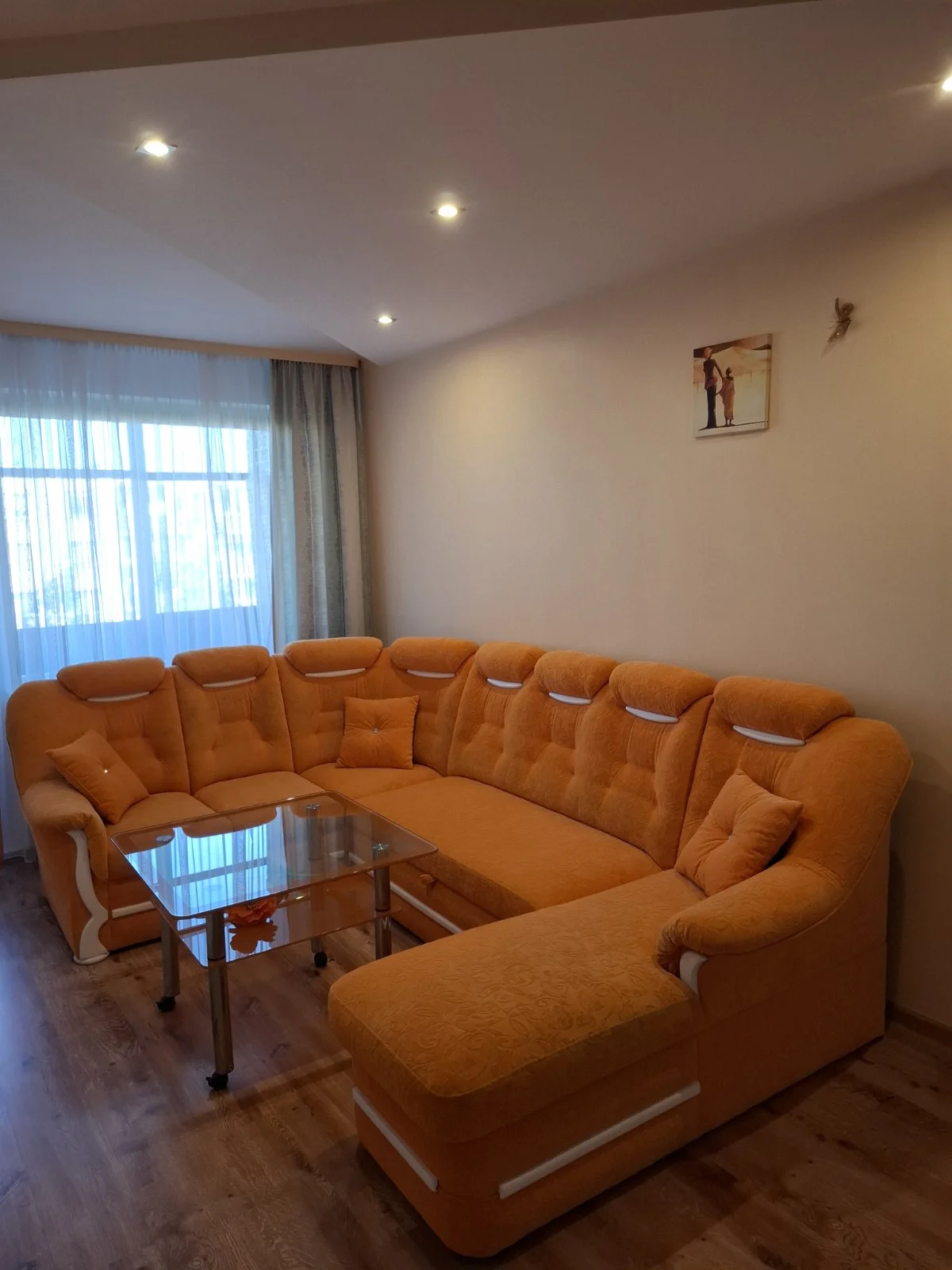 Kniaudiškių g., Kniaudiškiai, Panevėžys, 1 kamb. – nuotrauka 3