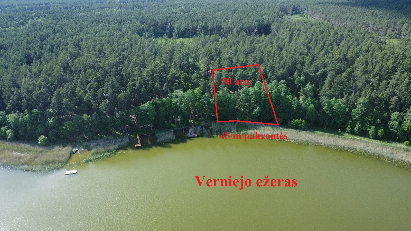 Sklypas Lazdijų rajono sav., Rūdoje – nuotrauka 4