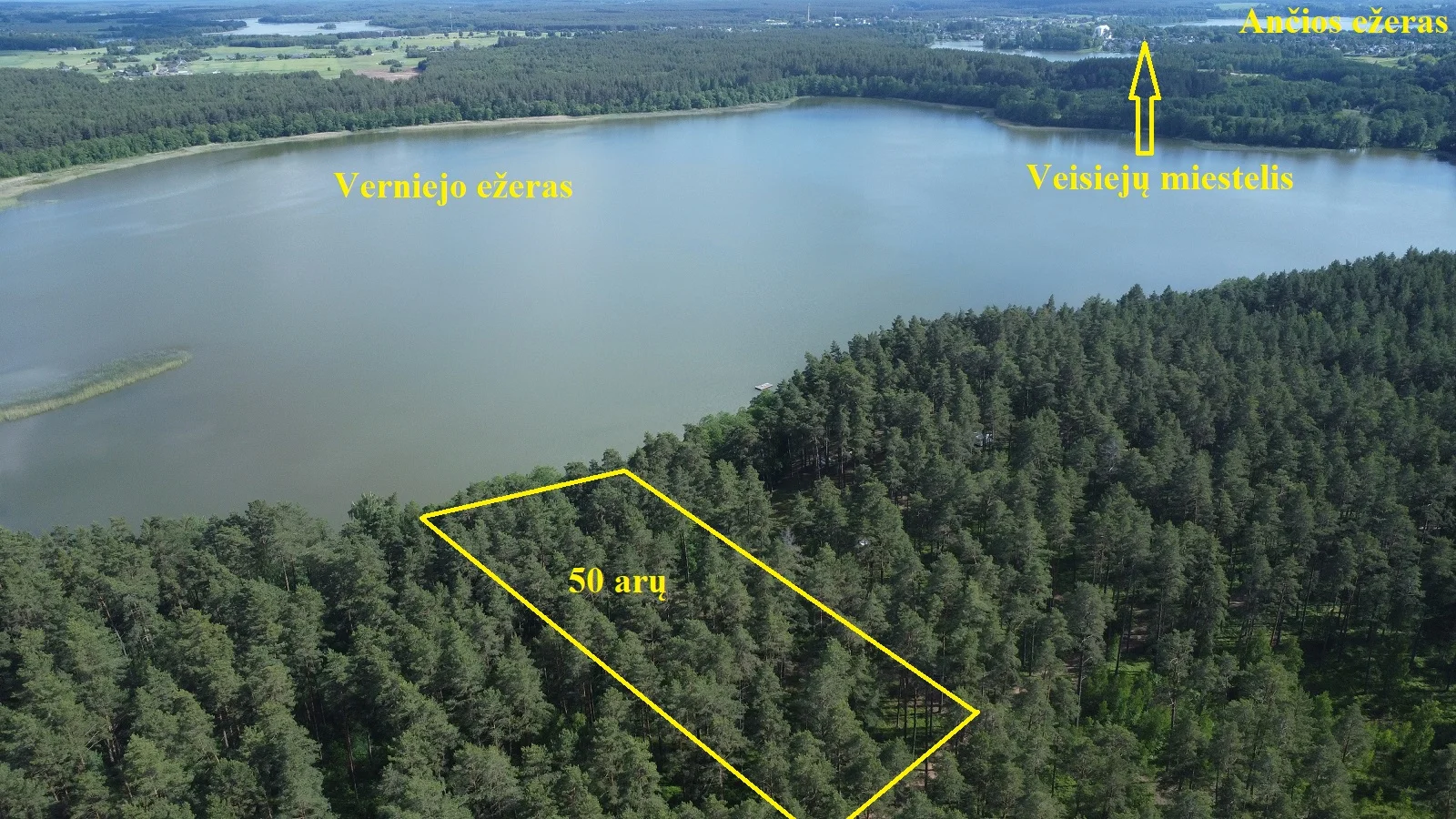 Sklypas Lazdijų rajono sav., Rūdoje – nuotrauka 3