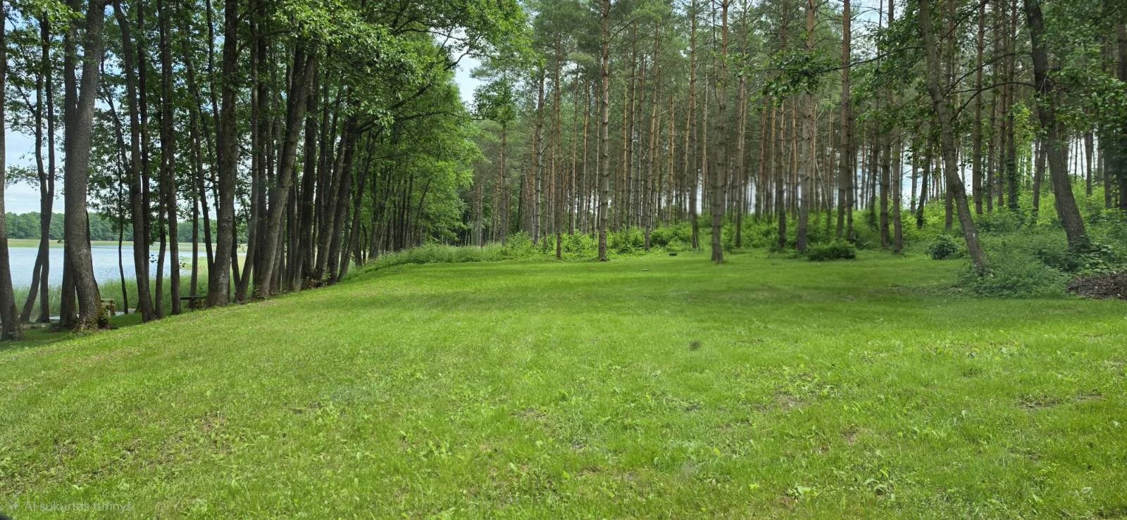 Sklypas Lazdijų rajono sav., Radvilonyse, Radvilonių g. – nuotrauka 6